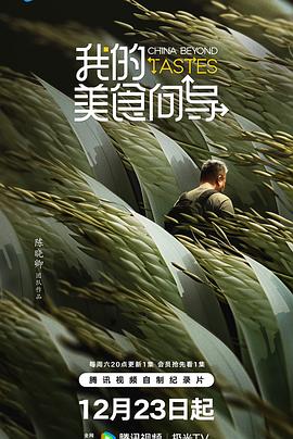 我的美食向导海报