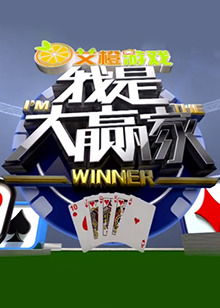 我是大赢家2017海报