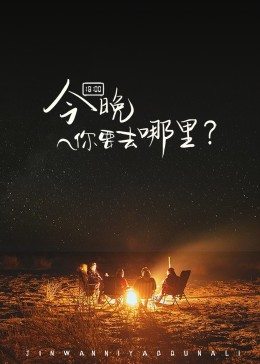 今晚你要去哪里海报