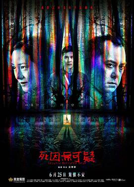 死因无可疑海报