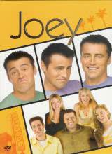 乔伊 第一季海报