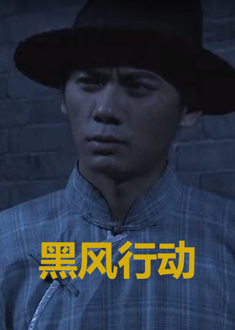 黑风行动海报