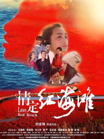 情定红海滩海报