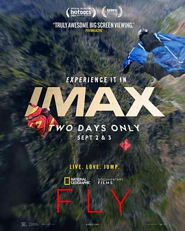Fly海报