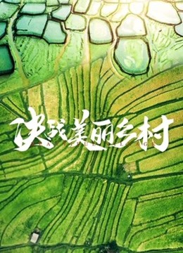 决战美丽乡村海报