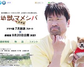 豆柴小犬 望乡篇海报