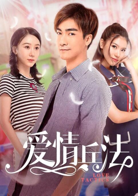 爱情兵法海报