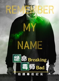 绝命毒师 第五季 幕后纪实海报