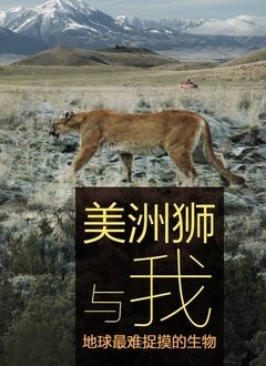 美洲狮与我海报