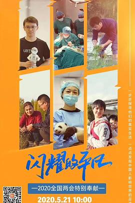 闪耀的平凡海报