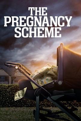 The Pregnancy Scheme海报