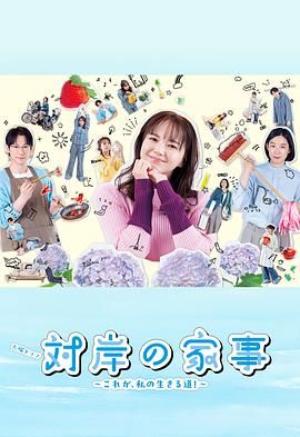 对岸的家务事～这就是我的生存之道海报