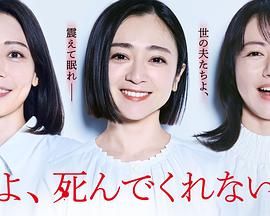 老公啊，你能去死吗海报