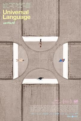 共同的语言海报