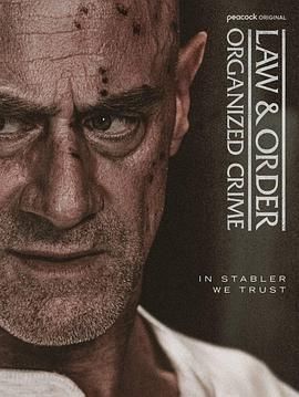 法律与秩序：组织犯罪 第五季海报