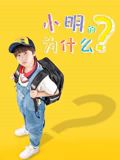 小明的为什么海报