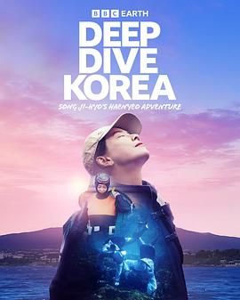 潜进韩国：宋智孝的海女冒险海报