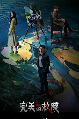 完美的救赎海报