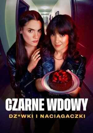 黑寡妇 风月陷阱海报