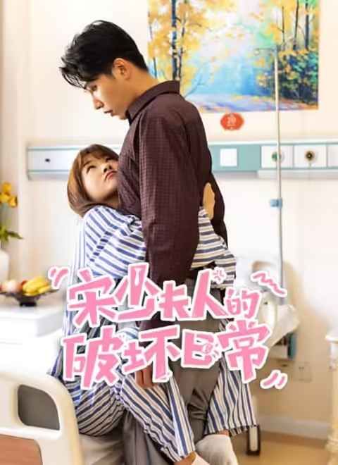 宋少夫人的破坏日常海报