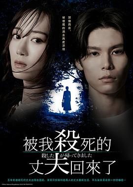 被杀了的丈夫回来了海报