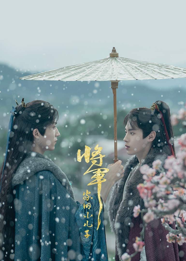 将军家的小儿子海报