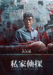 私家侦探 粤语版海报
