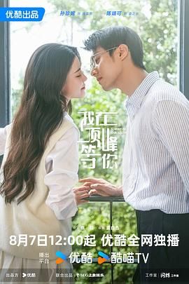 我在顶峰等你海报