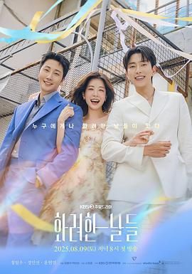 华丽的日子海报