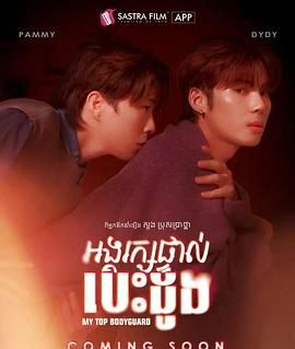 我的顶级保镖海报