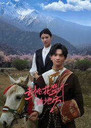 去桃花盛开的地方海报