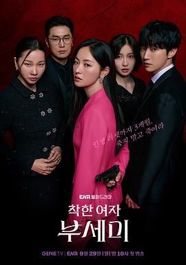 善良的女人夫世美海报