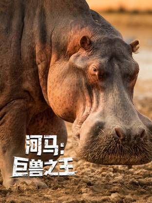 河马：巨兽之王海报